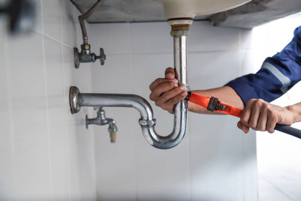 Best Same-Day Plumbing Service  in Grass Lake, MI