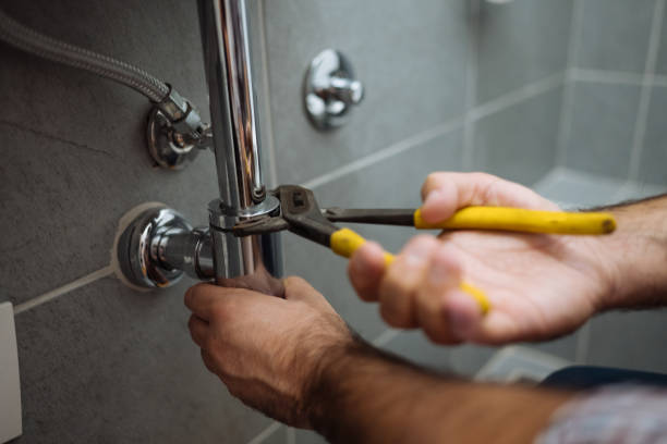 Best Plumbing Installation Services  in Grass Lake, MI