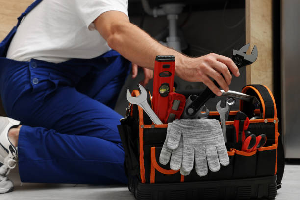  Grass Lake, MI Plumbing Pros